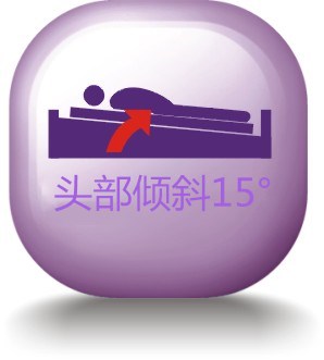 Trendelenburg 12° ( violet)_副本.jpg